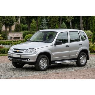 Estribos Laterales New Vision Grey (2 uds., Aluminio) foto 1