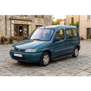 Estribos Laterales Tayga Black (2 uds., Aluminio) Citroen Berlingo 1996-2008 foto 1