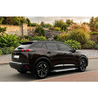 Estribos Laterales New Vision Grey (2 uds., Aluminio) Peugeot 3008 2016-2023 foto 1