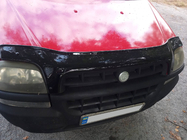 Fiat Doblo I 2001-2005 Deflector de capó EuroCap foto 8