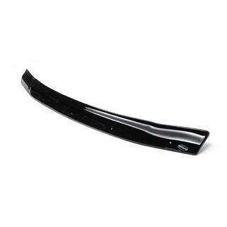 Deflector de capó (EuroCap) Mitsubishi Pajero Wagon III 1999-2006 foto 3