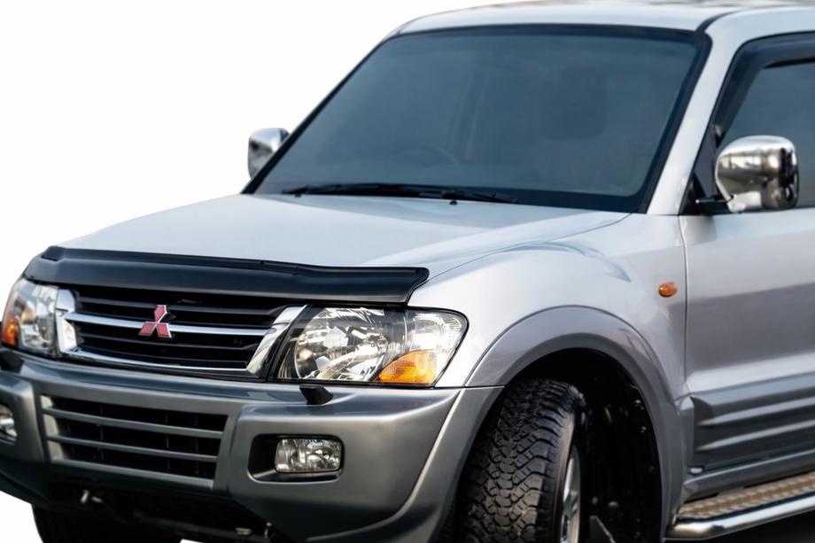 Mitsubishi Pajero Wagon III 1999-2006 Deflector de capó (EuroCap) Image