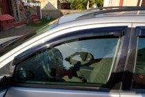 Ford Focus I 1998-2005 Deflectores de Ventana SW (4 uds, HIC) foto 1