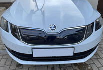 Skoda Octavia III A7 2013-2019 Rejilla de invierno (2017-2020) foto 1