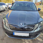 Skoda Octavia III A7 2013-2019 Rejilla de invierno (2017-2020) foto 5