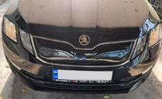 Skoda Octavia III A7 2013-2019 Rejilla de invierno (2017-2020) foto 7