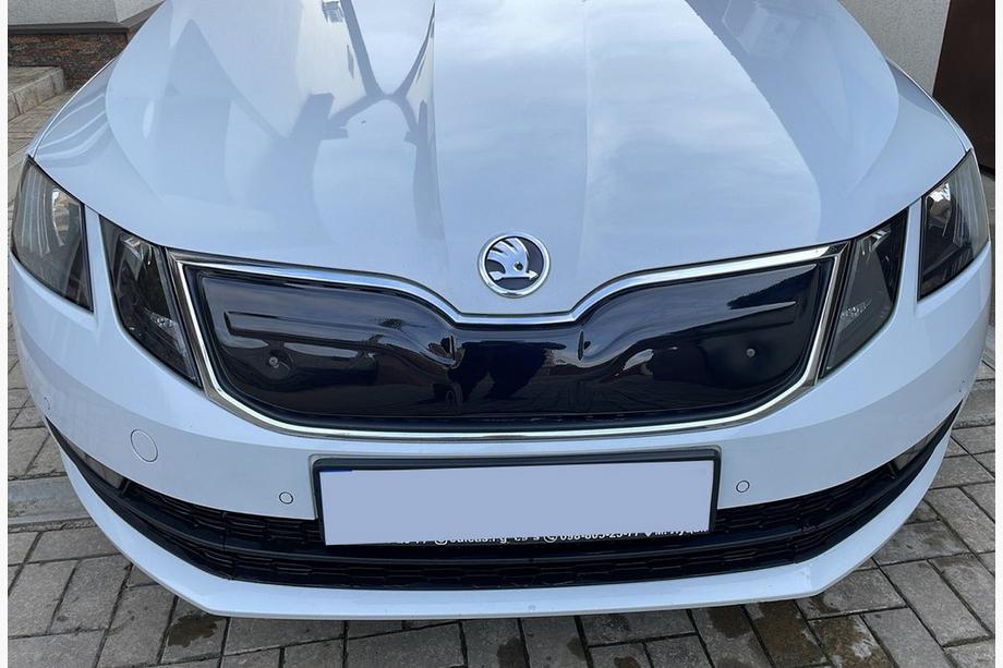 Skoda Octavia III A7 2013-2019 Rejilla de invierno (2017-2020) Image