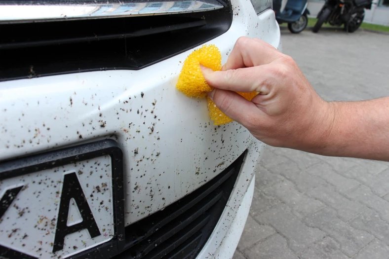 ¿Cómo elimino los insectos atascados de mi coche?