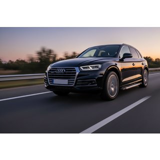 Estribos Laterales Vision New Grey (2 uds., Aluminio) Audi Q5 2017-2025 foto 1