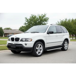 Estribos Laterales Fullmond (2 uds, aluminio) BMW X5 E53 1999–2006 foto 1