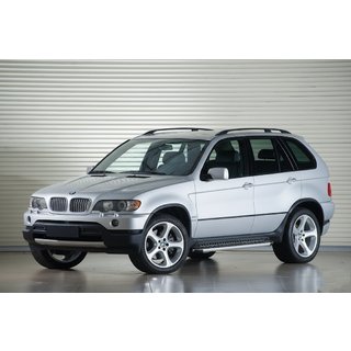 Estribos Laterales Tayga Grey (2 uds, aluminio) BMW X5 E53 1999–2006 foto 1