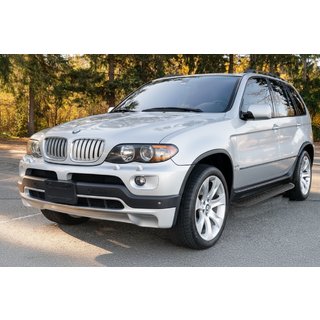 Estribos laterales Tayga Black (2 uds, aluminio) BMW X5 E53 1999–2006 foto 1
