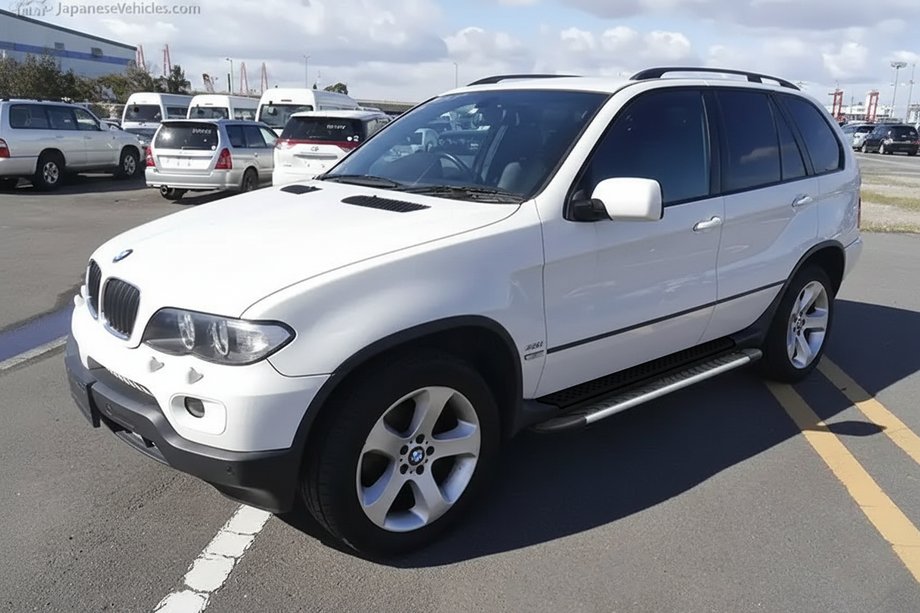 BMW X5 E53 1999–2006 Estribos Laterales Bosphorus Grey (2 uds, Aluminio) Image