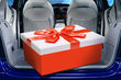 ¿Cómo elegir un regalo para un automovilista? foto 1
