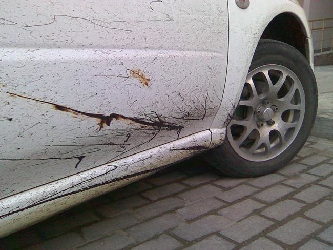 ¿Cómo limpiar el coche del betún?