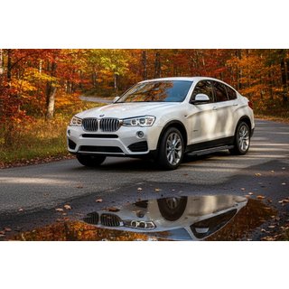 Estribos Laterales Bosphore Grey (2 uds., Aluminio) BMW X4 F26 2014-2018 foto 1