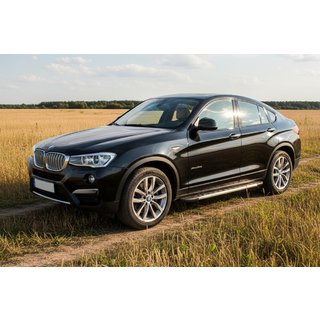 Estribos Laterales Duru (2 uds., Aluminio) BMW X4 F26 2014-2018 foto 1