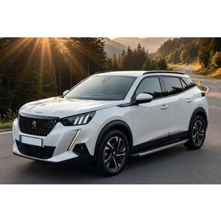 Estribos Laterales BlackLine (2 uds., Aluminio) Peugeot 2008 2019- foto 1