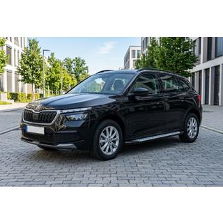 Estribos laterales Allmond Grey (2 uds., aluminio) foto 1