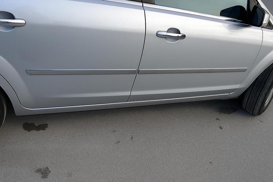 Ford Focus II 2005-2008 Molduras de Puerta Acero Inoxidable (4 uds) OmsaLine - Acero Inoxidable Italiano Image
