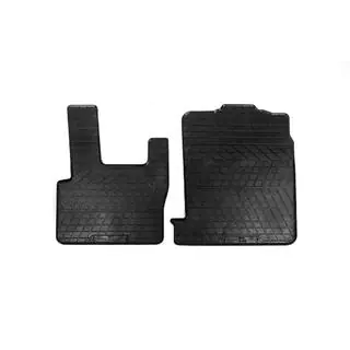 Alfombrillas de goma (2 uds, Stingray Premium) DAF XF95 2002-2006 foto 1