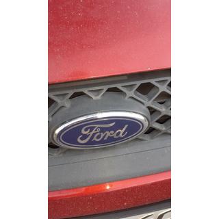 Emblema delantero (con clips) foto 4