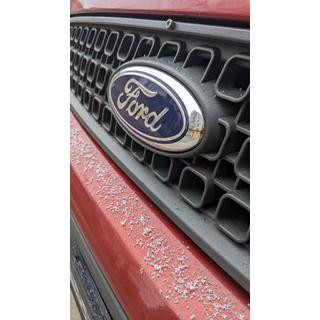 Emblema delantero (con clips) foto 1