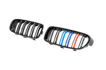 BMW 3 Series F30/F31 2012-2019 Riñoneras M-Look (M-Color) foto 6
