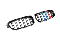 BMW 3 Series F30/F31 2012-2019 Riñoneras M-Look (M-Color) foto 5