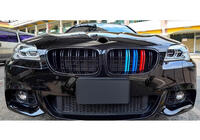BMW 5 Series F10/F11 2010–2016 Riñoneras M-Look (M-Color) foto 3