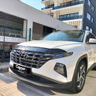 Hyundai Tucson NX4 2021- Deflector de capó (EuroCap) foto 1