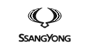 brand icon